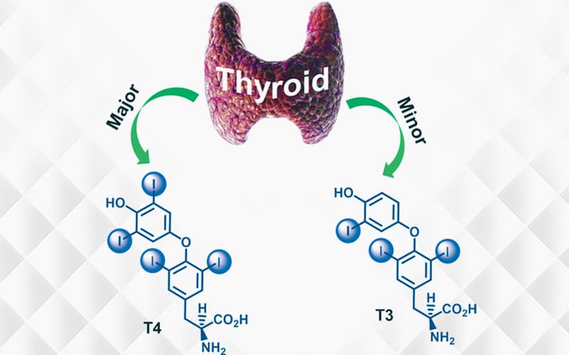 best thyroid specialist in Kolkata