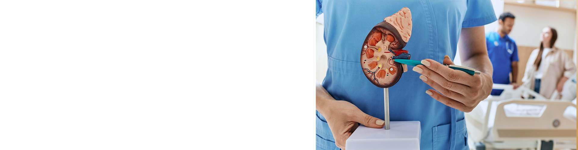 best kidney specialist in Kolkata
