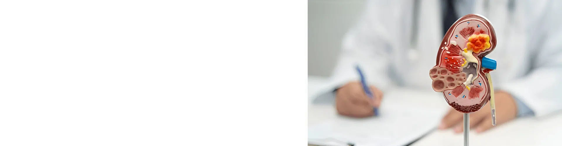 HMPV virus treatment doctor